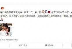 明星资讯号是什么 今日十大社会热点,今日十大社会热点聚焦